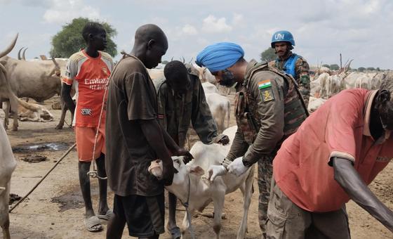 दक्षिण सूडान: भारतीय शान्तिरक्षकों द्वारा 'मवेशी मदद' से सँवर रहे जीवन
